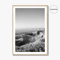 La Jolla Black and White Fine Art Photo Print, San Diego California Poster