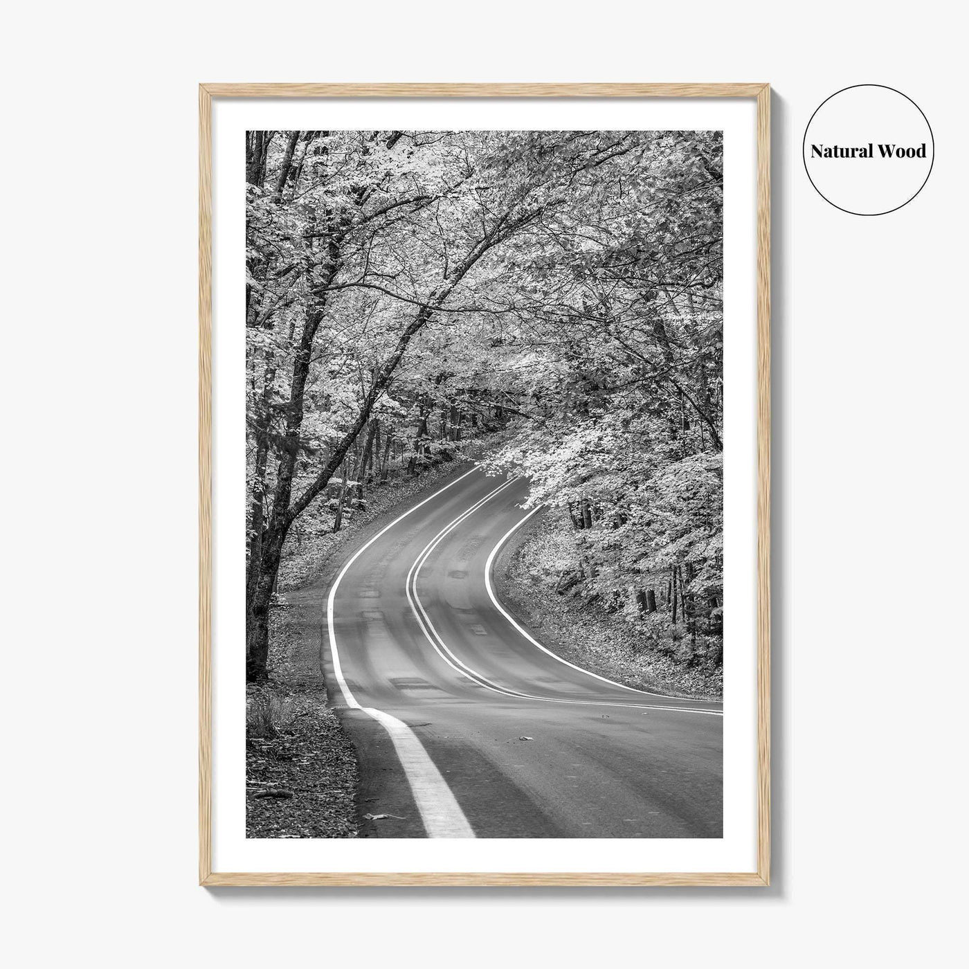 Michigan Black and White Fine Art Photo Print, Keweenaw Peninsula Scenic Byway M41 Poster