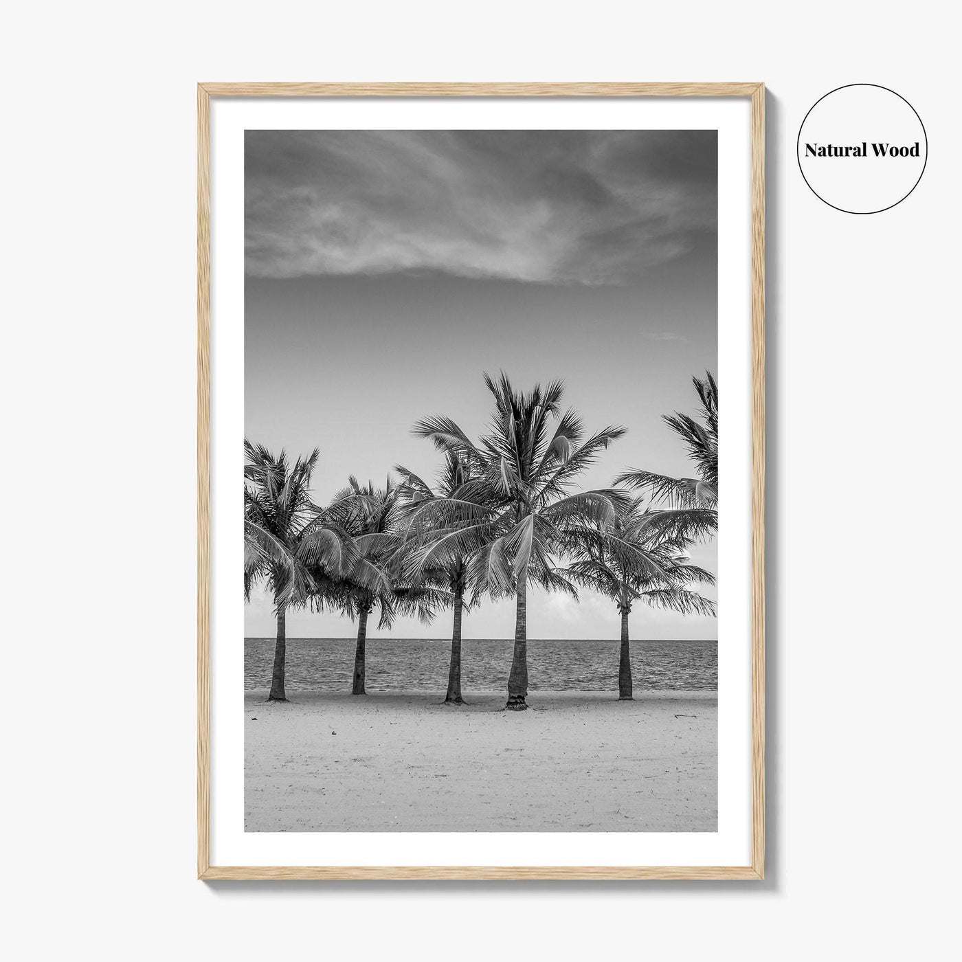 Key Biscayne Black and White Fine Art Photo Print, Miami Palm Trees Florida Poster