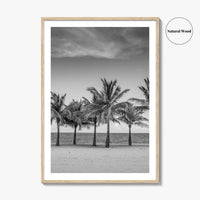 Key Biscayne Black and White Fine Art Photo Print, Miami Palm Trees Florida Poster