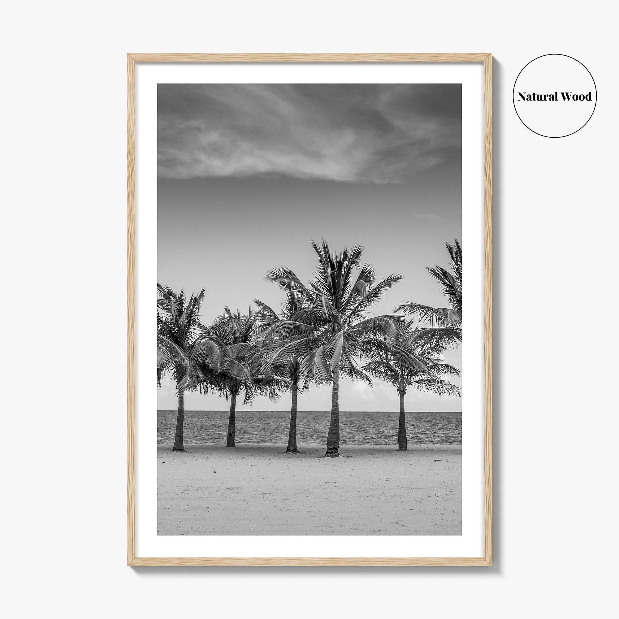 Key Biscayne Black and White Fine Art Photo Print, Miami Palm Trees Florida Poster