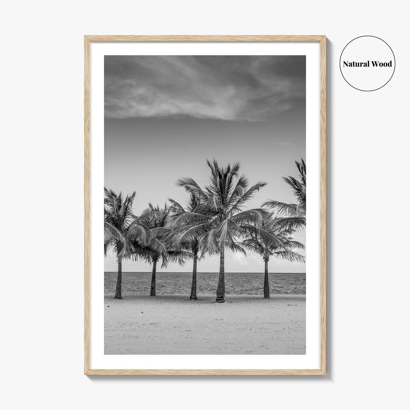 Key Biscayne Black and White Fine Art Photo Print, Miami Palm Trees Florida Poster