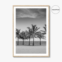 Key Biscayne Black and White Fine Art Photo Print, Miami Palm Trees Florida Poster