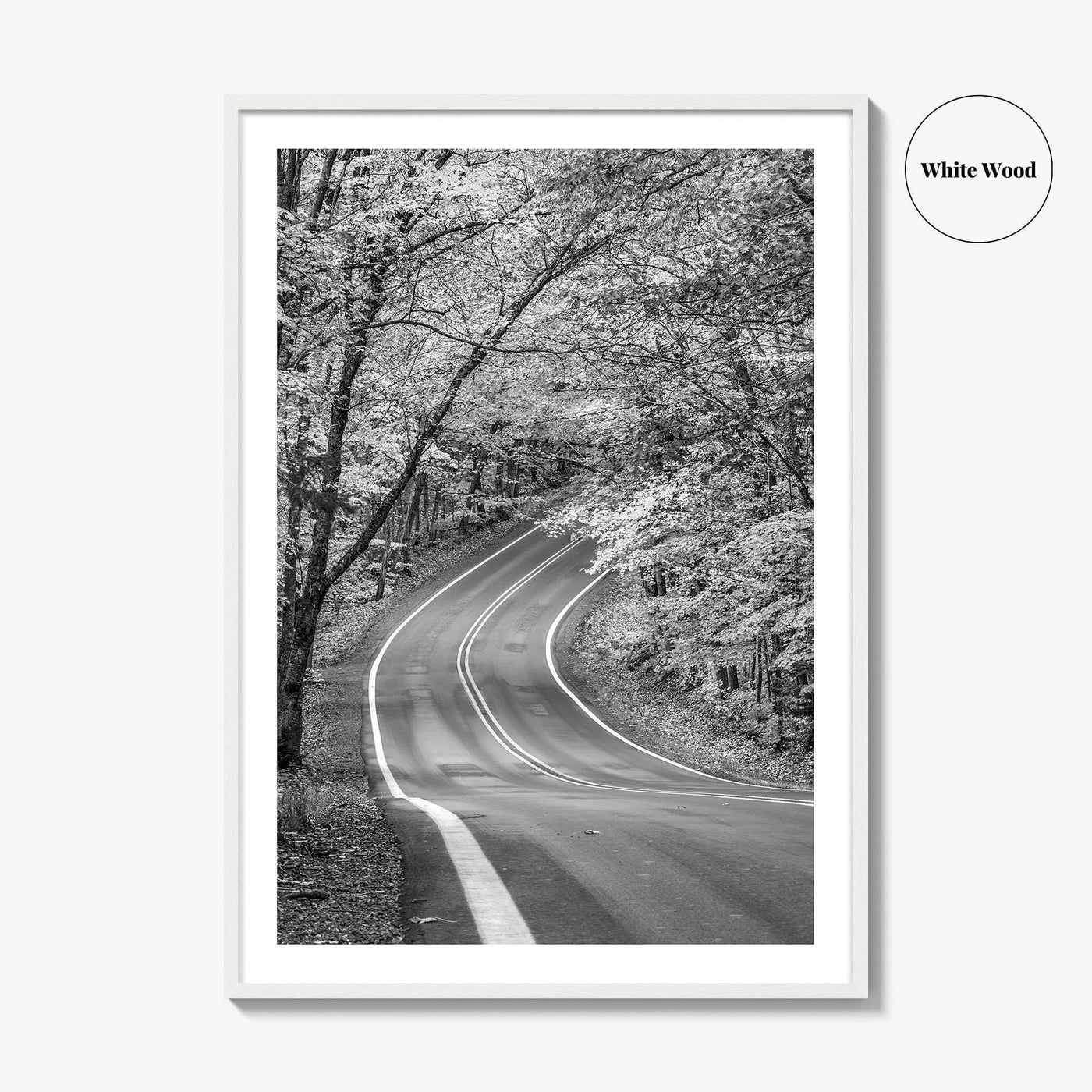Michigan Black and White Fine Art Photo Print, Keweenaw Peninsula Scenic Byway M41 Poster
