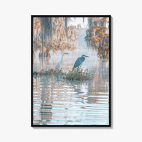 Louisiana Fine Art Photo Print, Atchafalaya Basin, Lafayette, Caddo Lake, Swamp Wall Poster