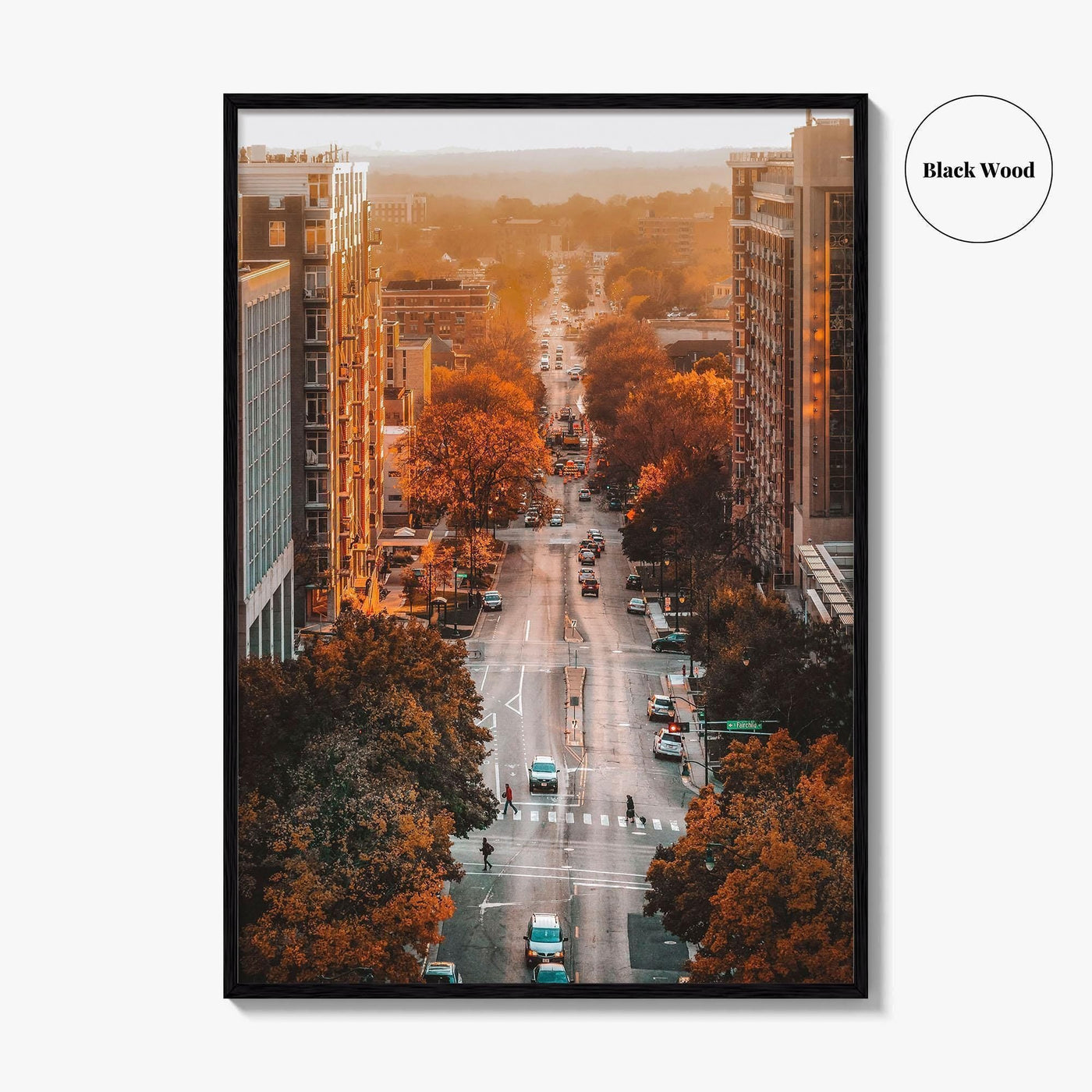 Madison Fine Art Photo Print, Wisconsin USA Wall Decor Poster, State Capitol View