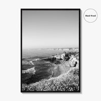 La Jolla Black and White Fine Art Photo Print, San Diego California Poster