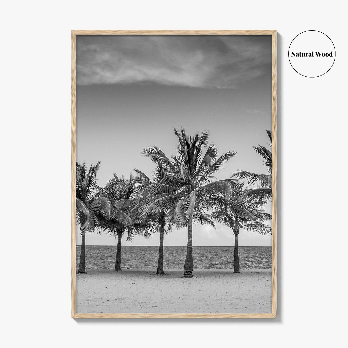 Key Biscayne Black and White Fine Art Photo Print, Miami Palm Trees Florida Poster