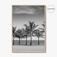 Key Biscayne Black and White Fine Art Photo Print, Miami Palm Trees Florida Poster