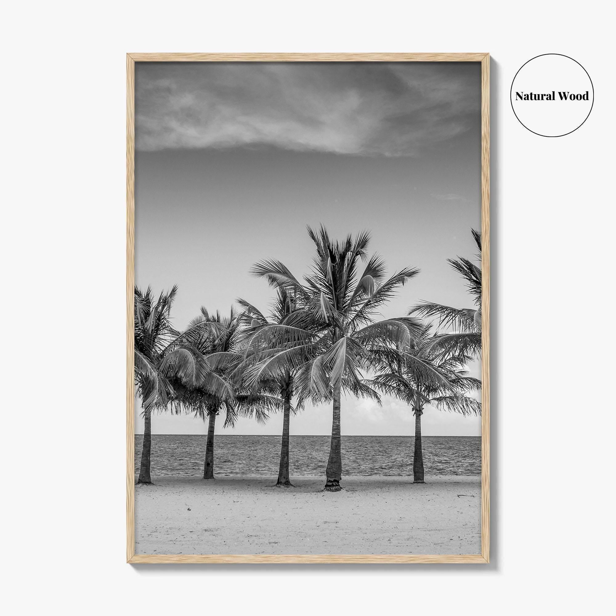 Key Biscayne Black and White Fine Art Photo Print, Miami Palm Trees Florida Poster