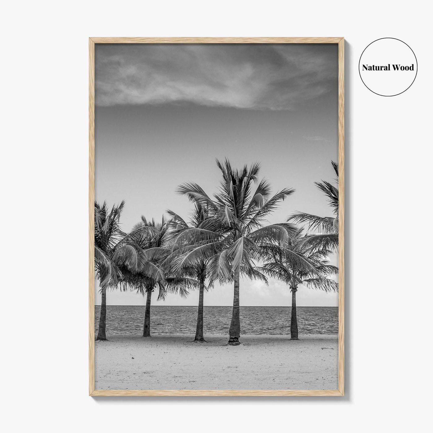 Key Biscayne Black and White Fine Art Photo Print, Miami Palm Trees Florida Poster