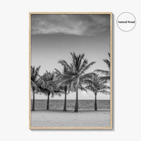 Key Biscayne Black and White Fine Art Photo Print, Miami Palm Trees Florida Poster