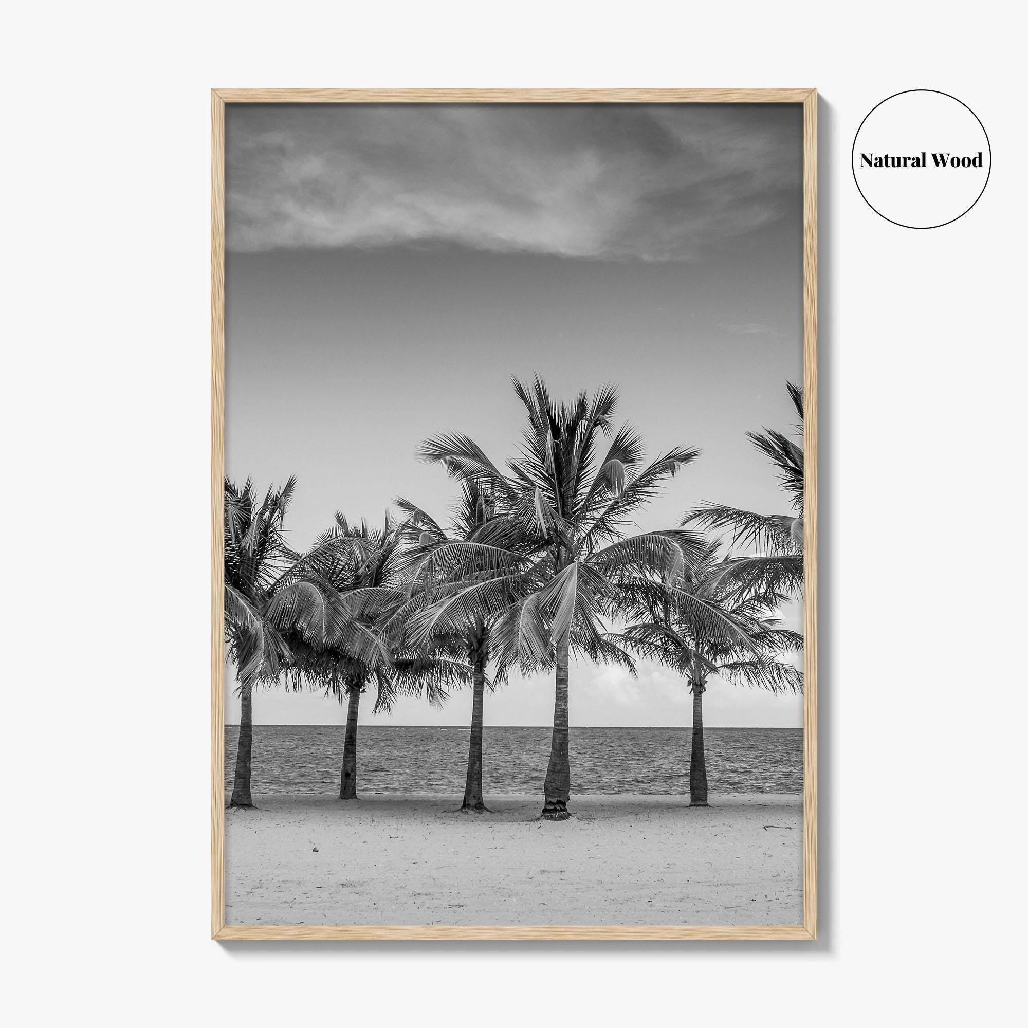 Key Biscayne Black and White Fine Art Photo Print, Miami Palm Trees Florida Poster