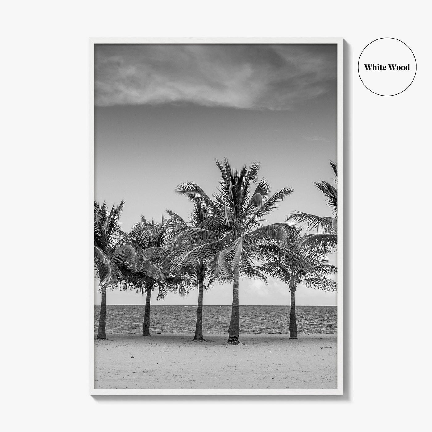 Key Biscayne Black and White Fine Art Photo Print, Miami Palm Trees Florida Poster