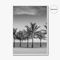 Key Biscayne Black and White Fine Art Photo Print, Miami Palm Trees Florida Poster