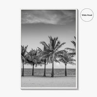 Key Biscayne Black and White Fine Art Photo Print, Miami Palm Trees Florida Poster