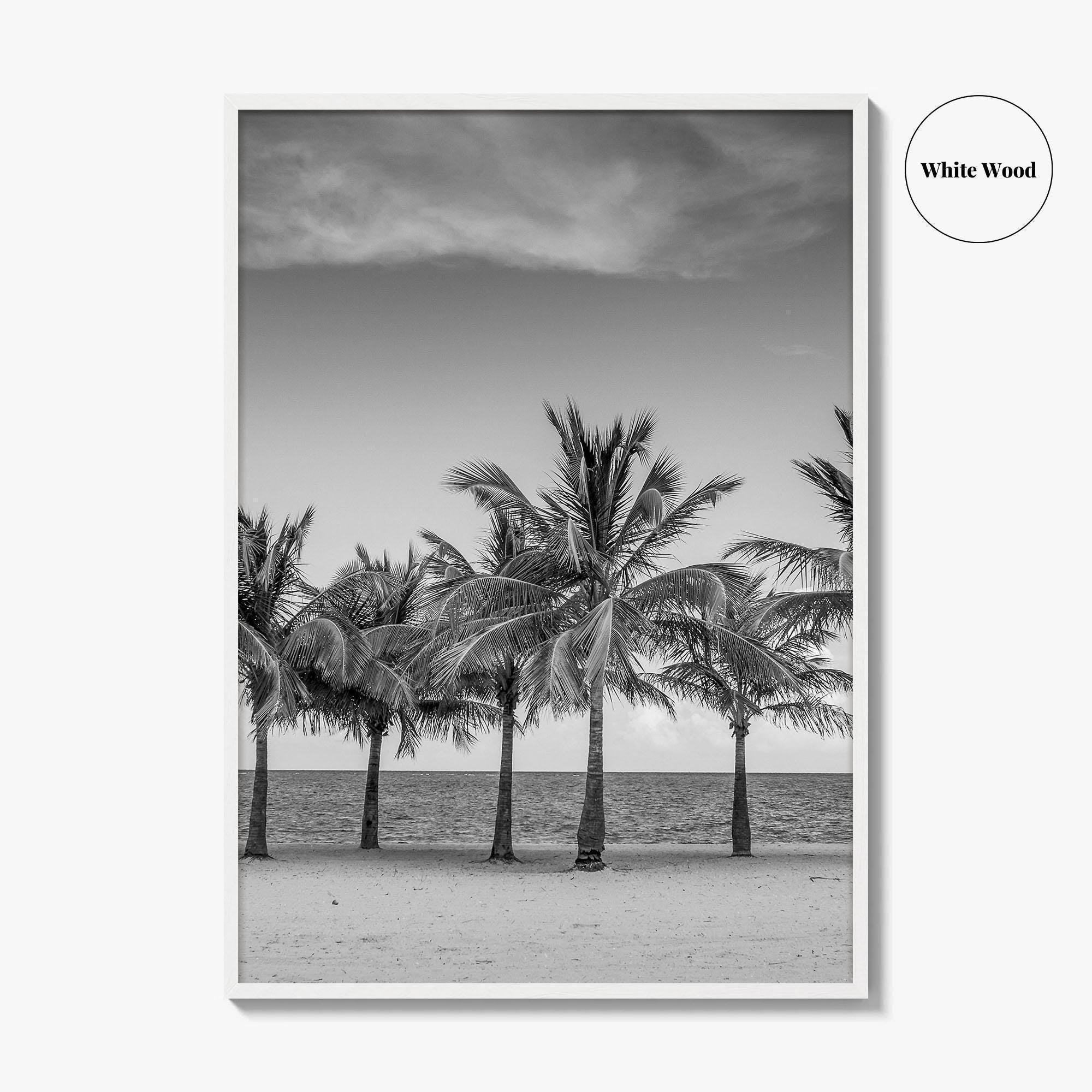 Key Biscayne Black and White Fine Art Photo Print, Miami Palm Trees Florida Poster