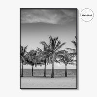 Key Biscayne Black and White Fine Art Photo Print, Miami Palm Trees Florida Poster