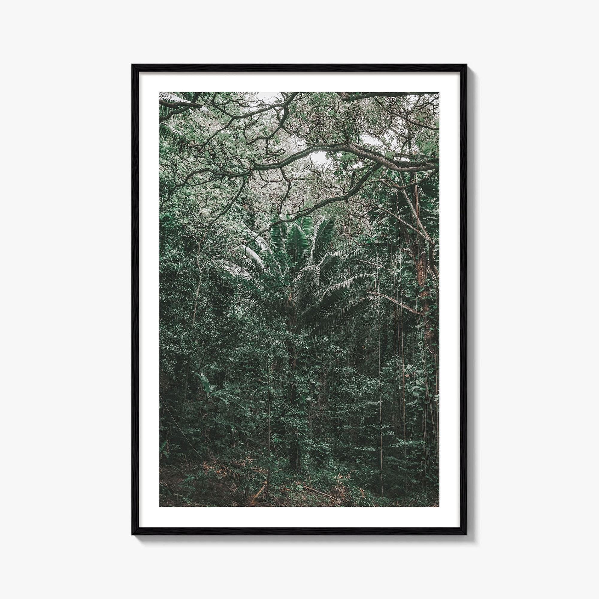 Oahu Fine Art Photo Print, Hawaii Wall Poster, Maui Kauai USA