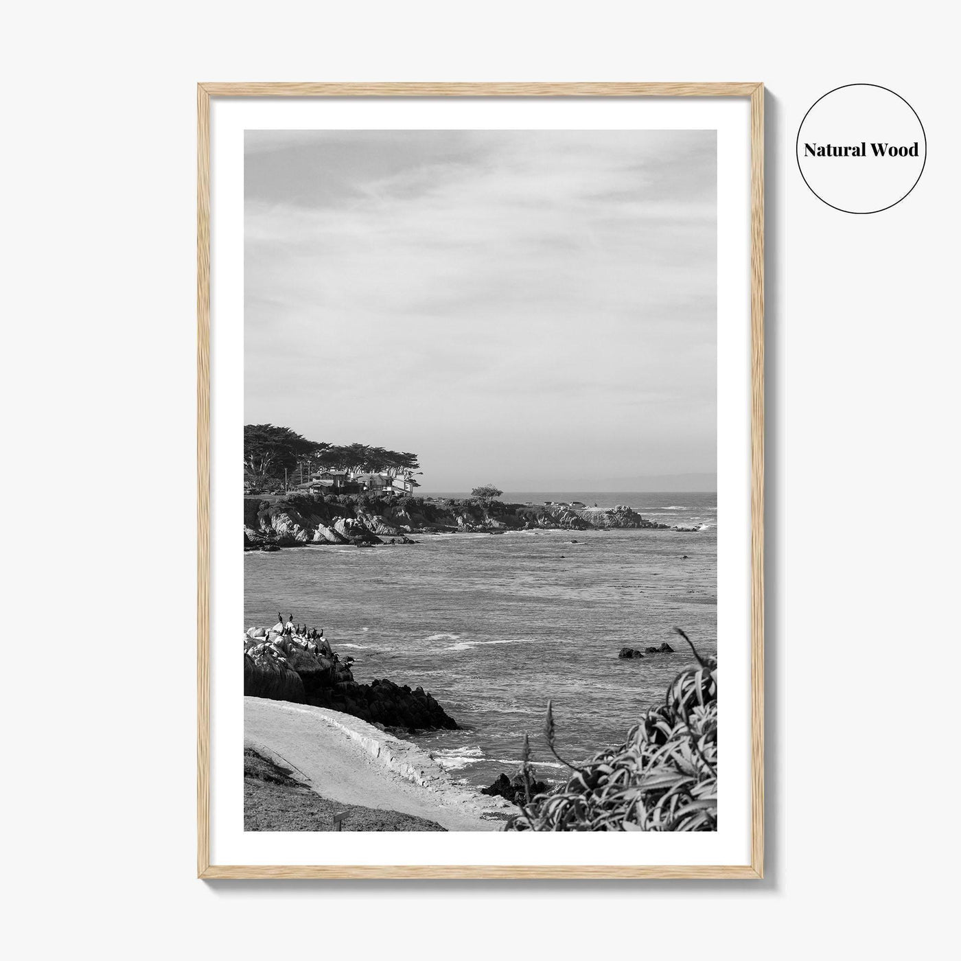 Pacific Grove Black and White Fine Art Photo Print, Monterey Coastline, California Poster