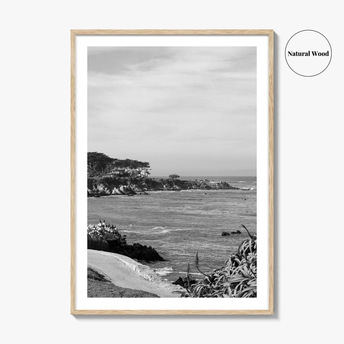 Pacific Grove Black and White Fine Art Photo Print, Monterey Coastline, California Poster