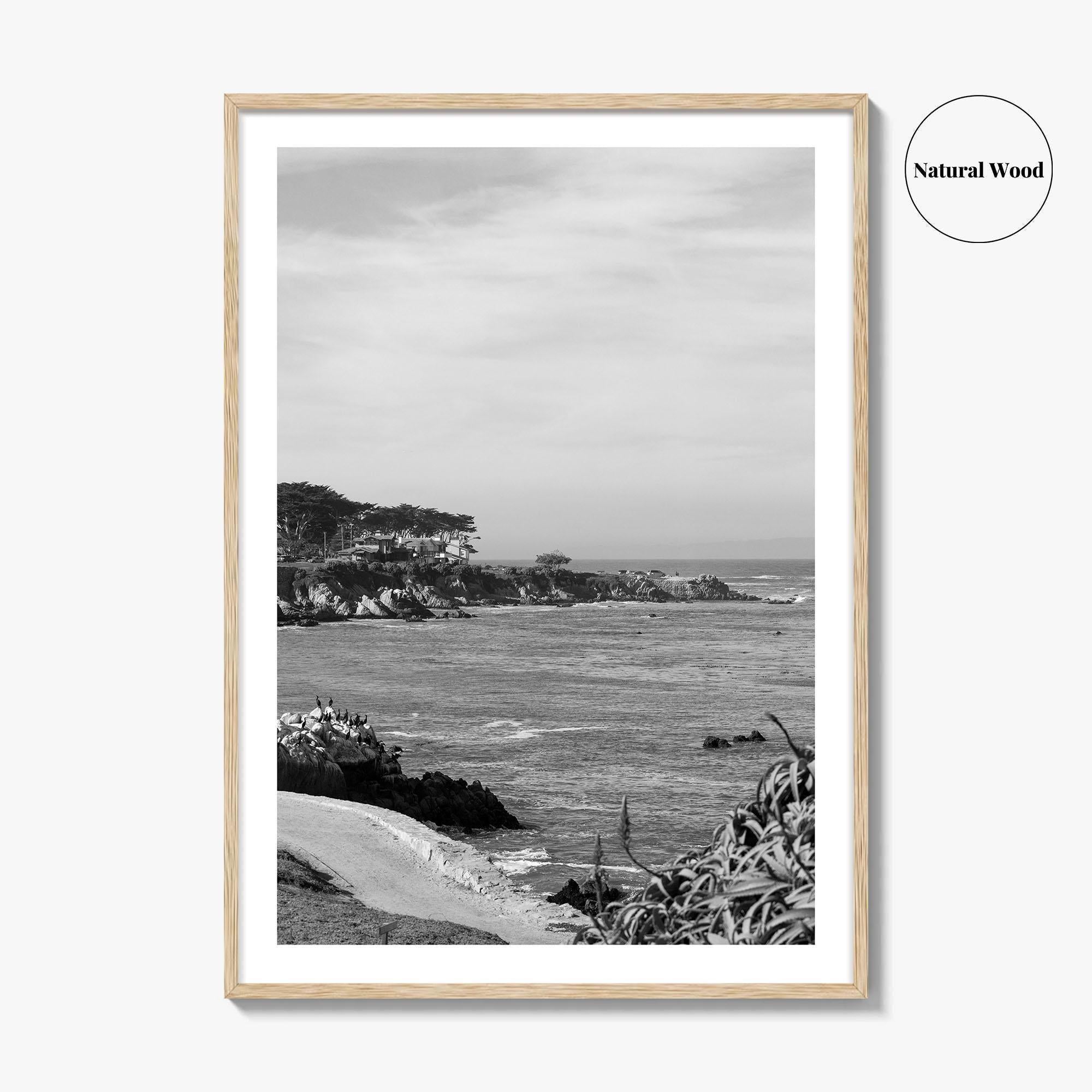 Pacific Grove Black and White Fine Art Photo Print, Monterey Coastline, California Poster