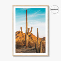 Organ Pipe Cactus National Monument Fine Art Photo Print, Sonoran Desert, Arizona Wall Poster