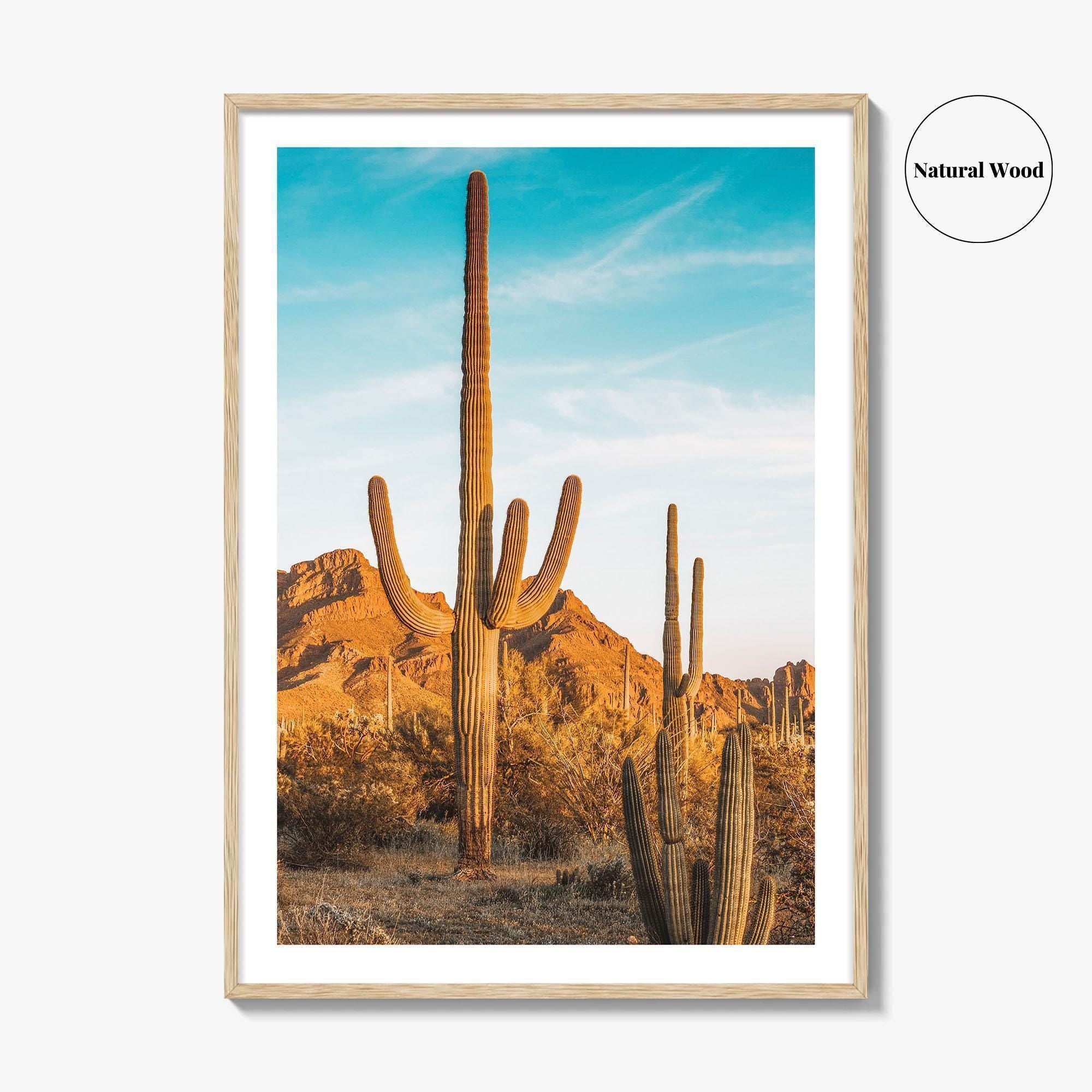 Organ Pipe Cactus National Monument Fine Art Photo Print, Sonoran Desert, Arizona Wall Poster