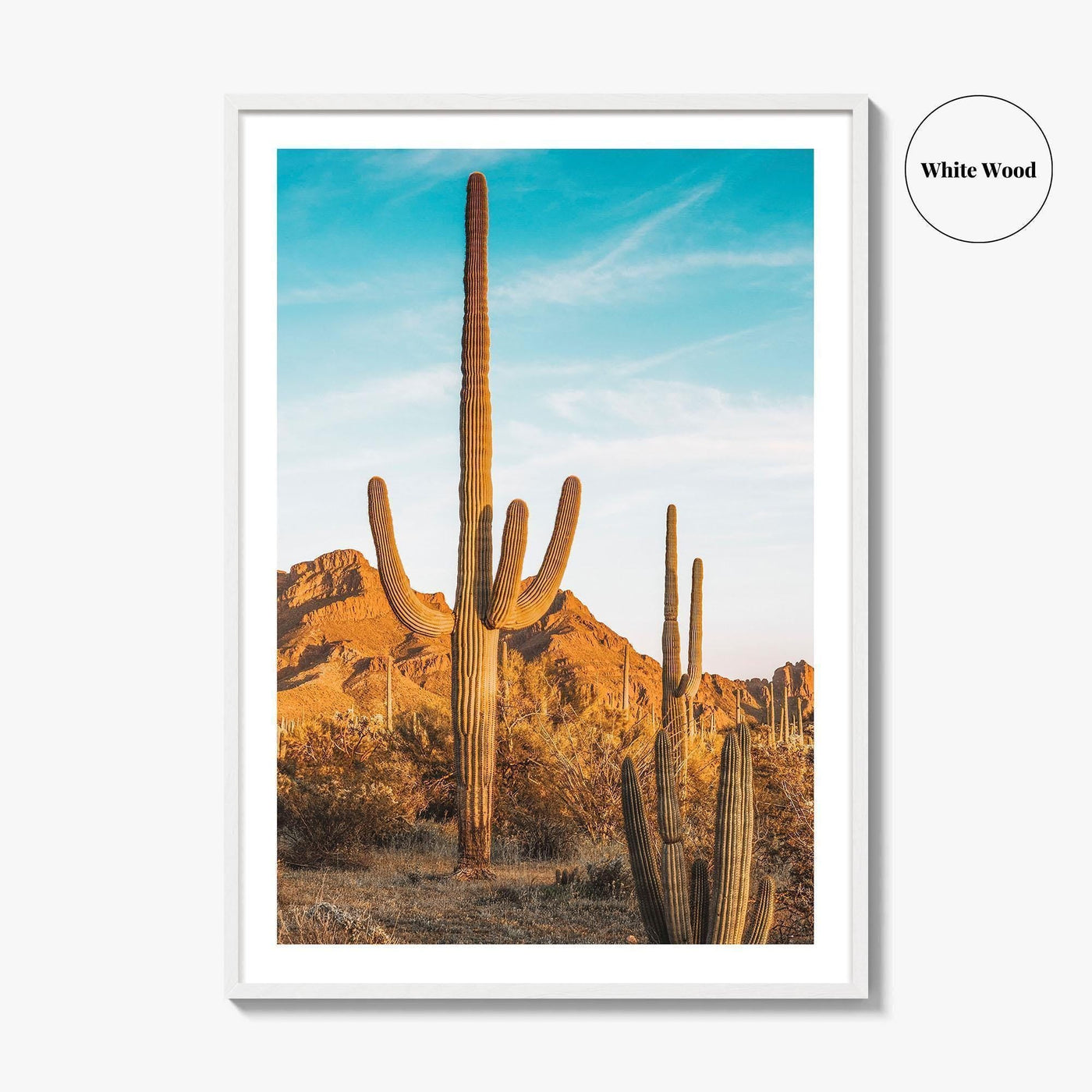 Organ Pipe Cactus National Monument Fine Art Photo Print, Sonoran Desert, Arizona Wall Poster