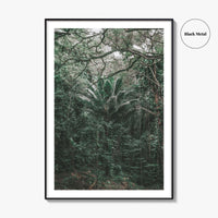 Oahu Fine Art Photo Print, Hawaii Wall Poster, Maui Kauai USA