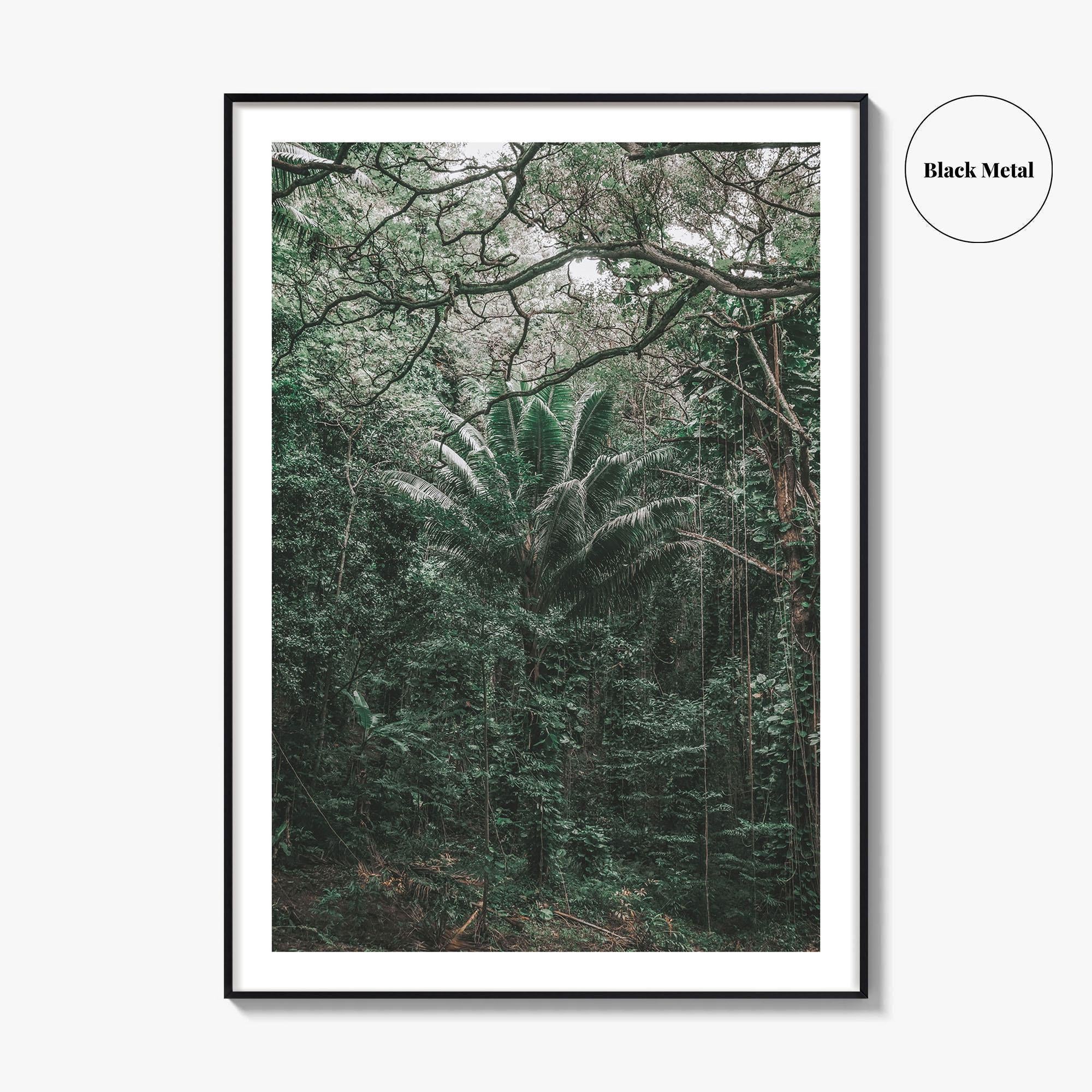 Oahu Fine Art Photo Print, Hawaii Wall Poster, Maui Kauai USA