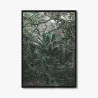 Oahu Fine Art Photo Print, Hawaii Wall Poster, Maui Kauai USA