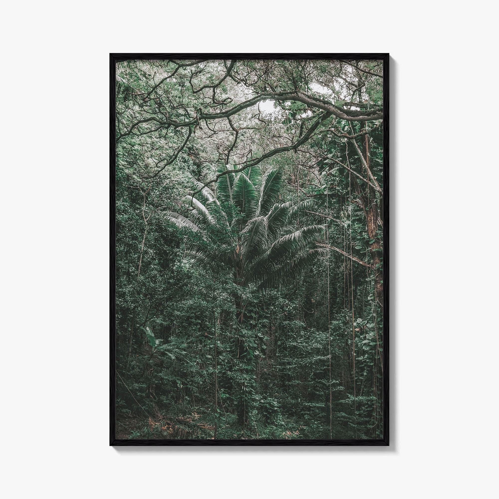 Oahu Fine Art Photo Print, Hawaii Wall Poster, Maui Kauai USA