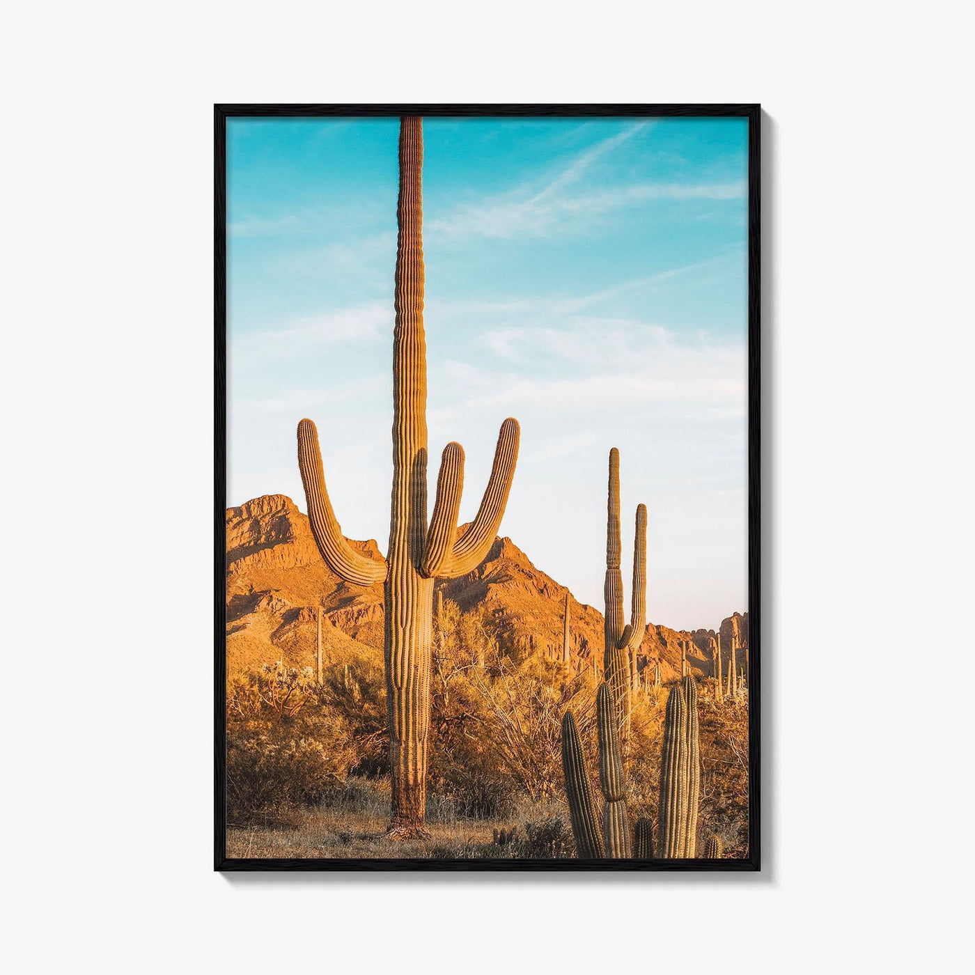 Organ Pipe Cactus National Monument Fine Art Photo Print, Sonoran Desert, Arizona Wall Poster