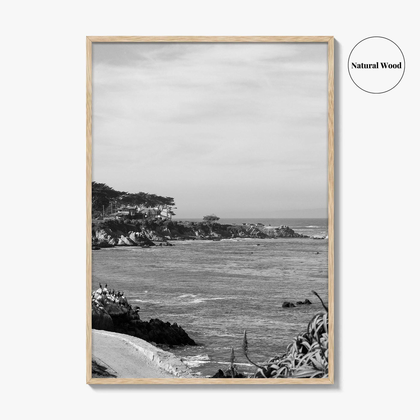 Pacific Grove Black and White Fine Art Photo Print, Monterey Coastline, California Poster