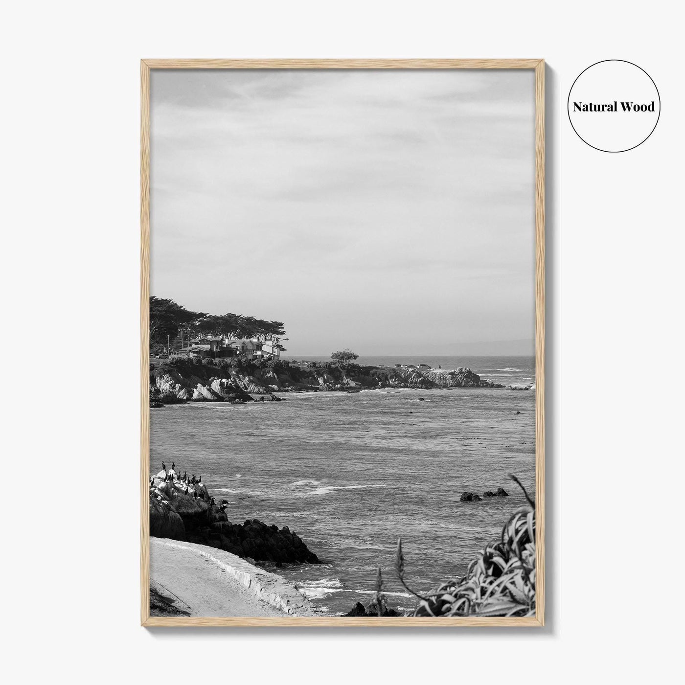 Pacific Grove Black and White Fine Art Photo Print, Monterey Coastline, California Poster