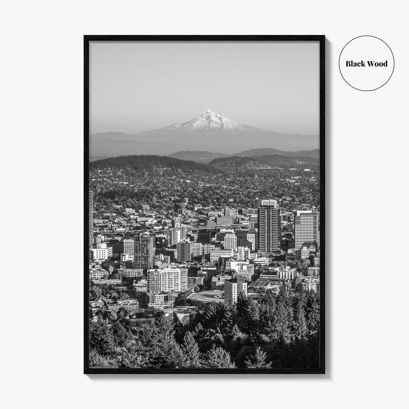 Portland Oregon Skyline Black and White Fine Art Photo Print, Mount Hood, Poster, USA