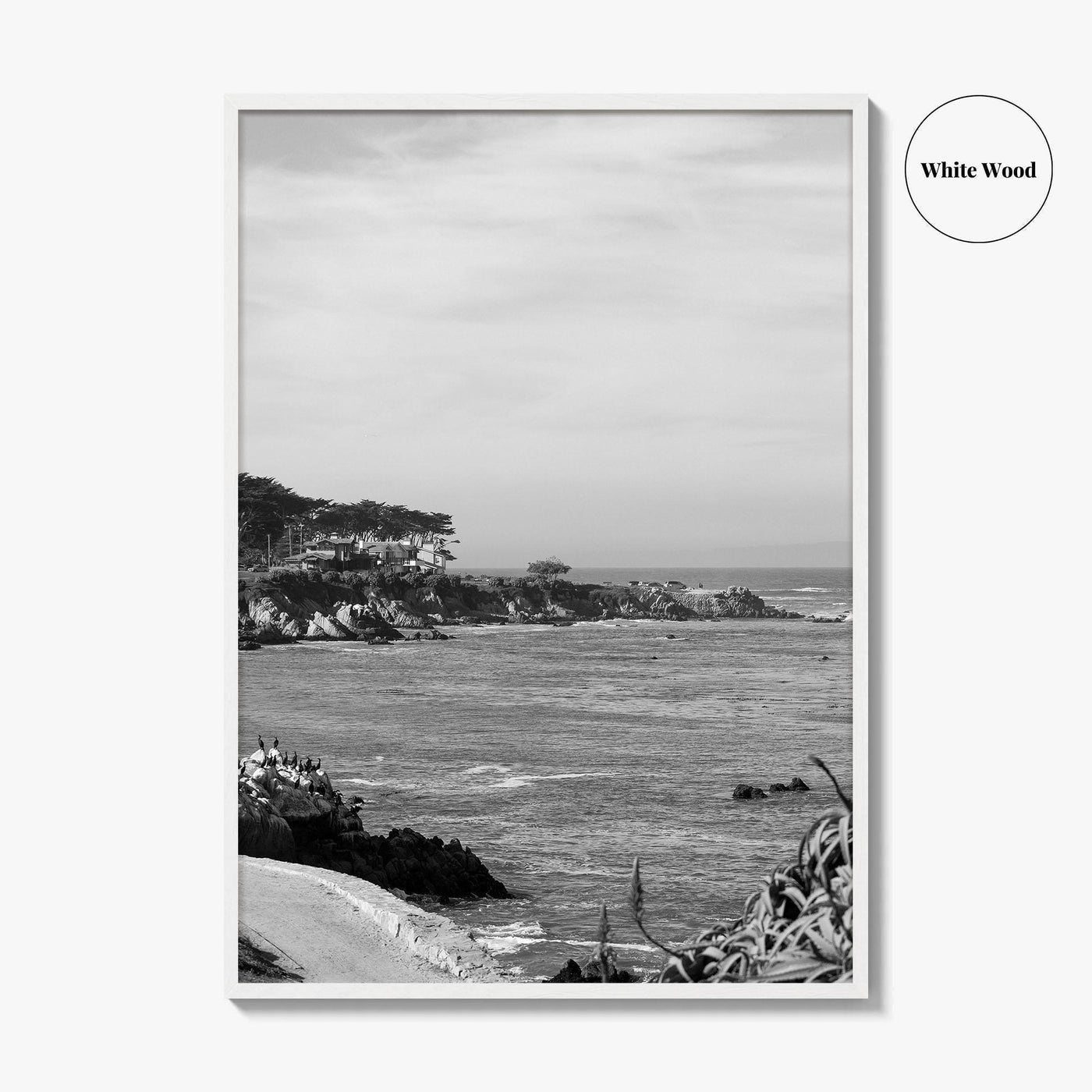 Pacific Grove Black and White Fine Art Photo Print, Monterey Coastline, California Poster