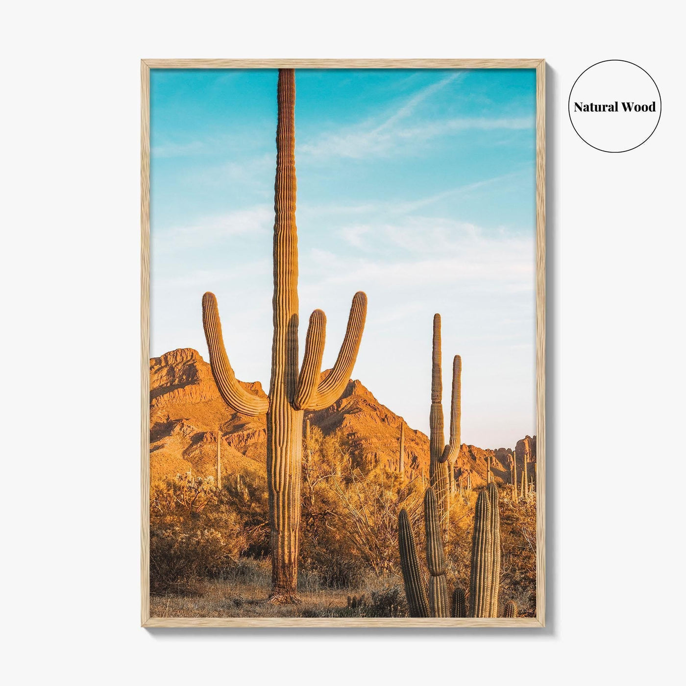 Organ Pipe Cactus National Monument Fine Art Photo Print, Sonoran Desert, Arizona Wall Poster