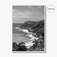 Puerto Escondido Black and White Fine Art Photo Print, Carrizalillo Beach, Oaxaca Mexico Poster