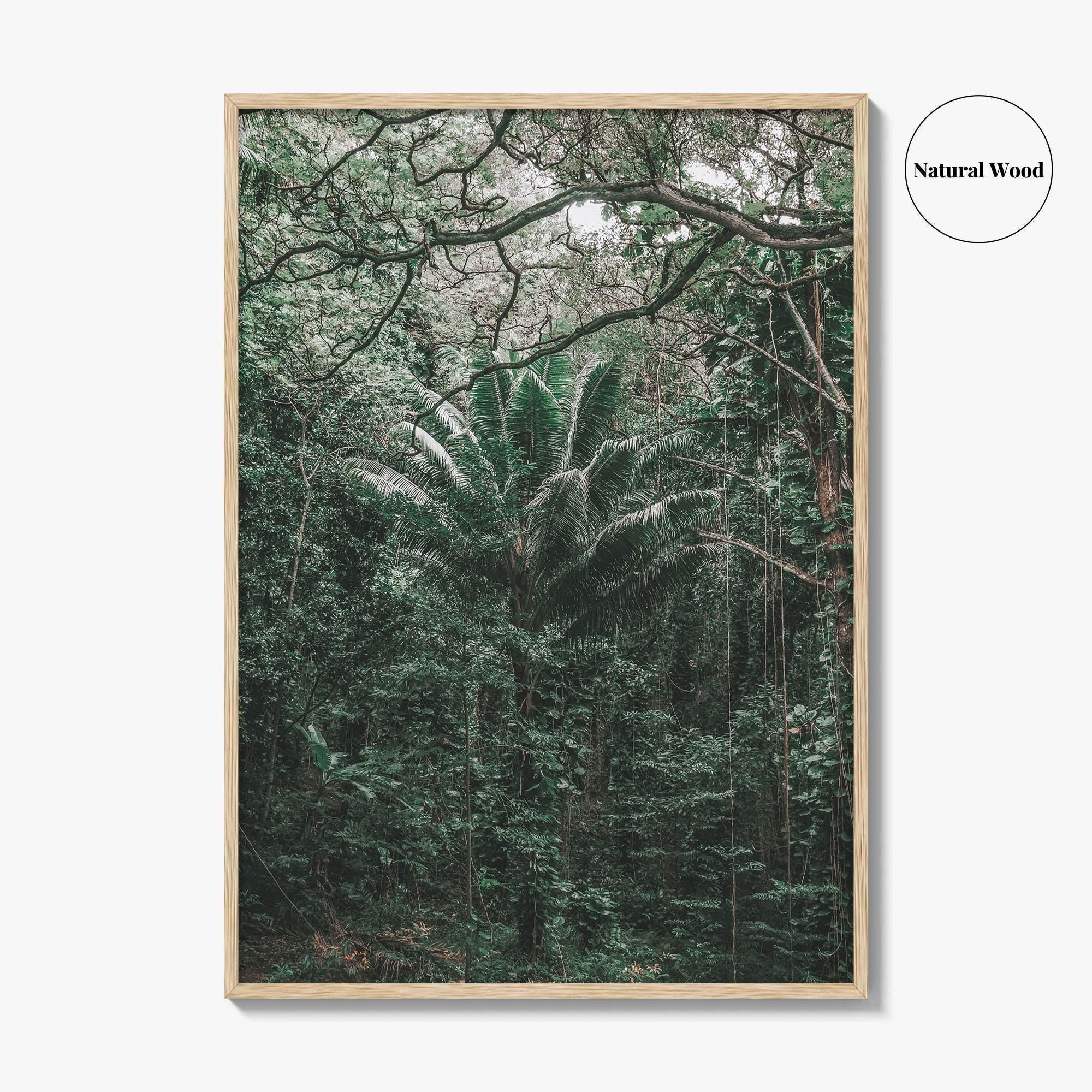 Oahu Fine Art Photo Print, Hawaii Wall Poster, Maui Kauai USA