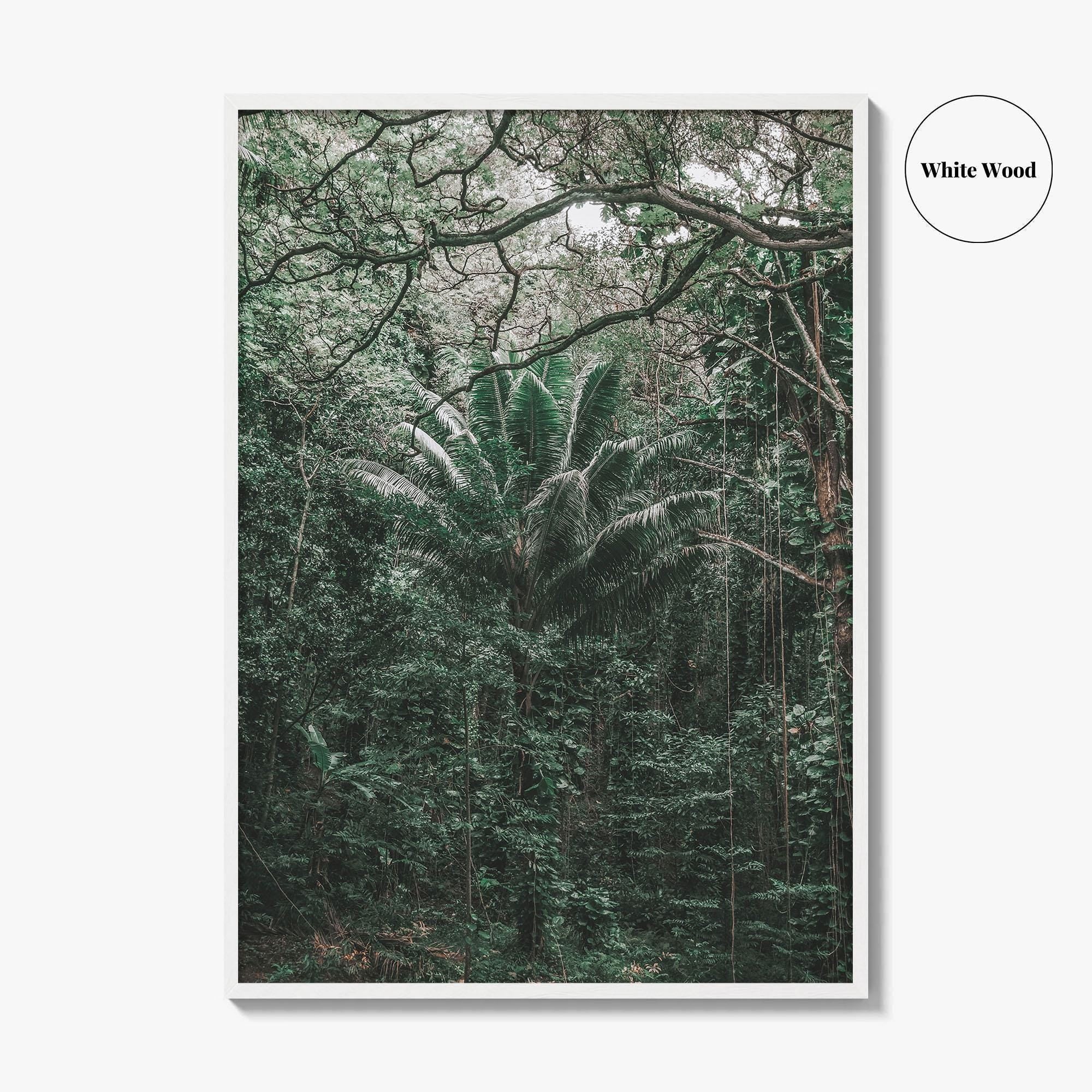 Oahu Fine Art Photo Print, Hawaii Wall Poster, Maui Kauai USA