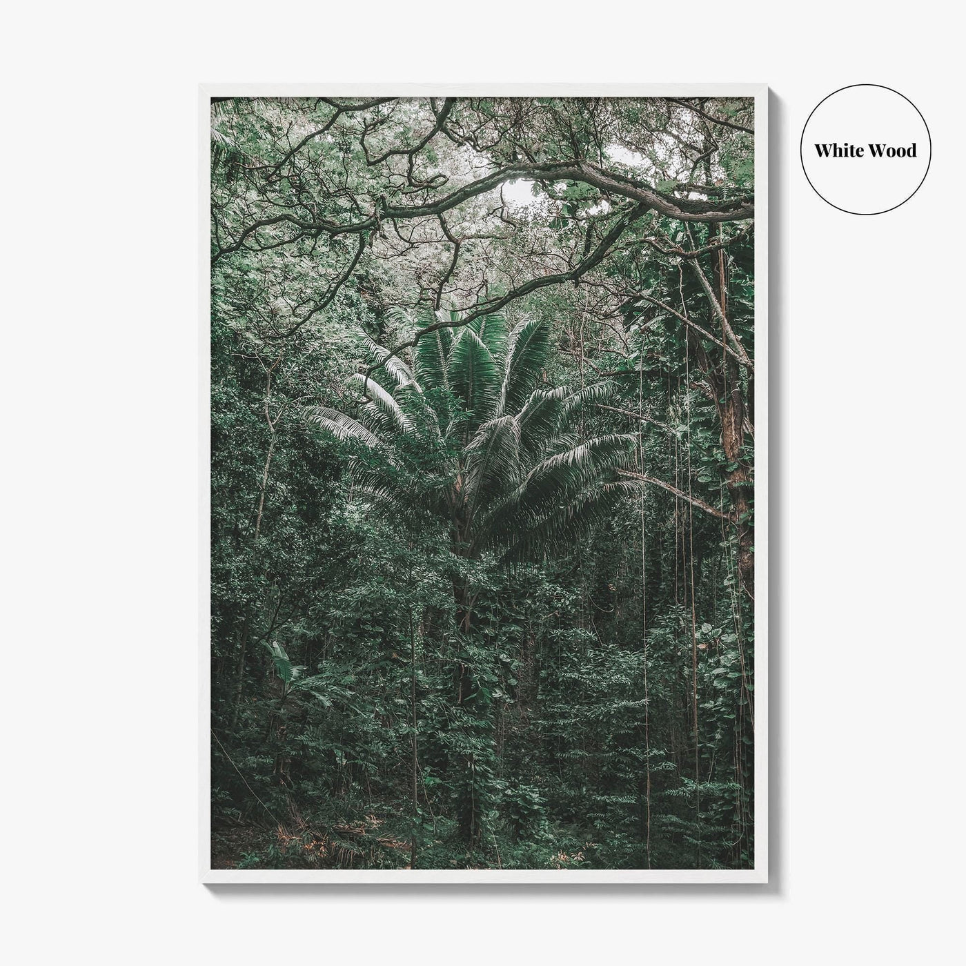 Oahu Fine Art Photo Print, Hawaii Wall Poster, Maui Kauai USA