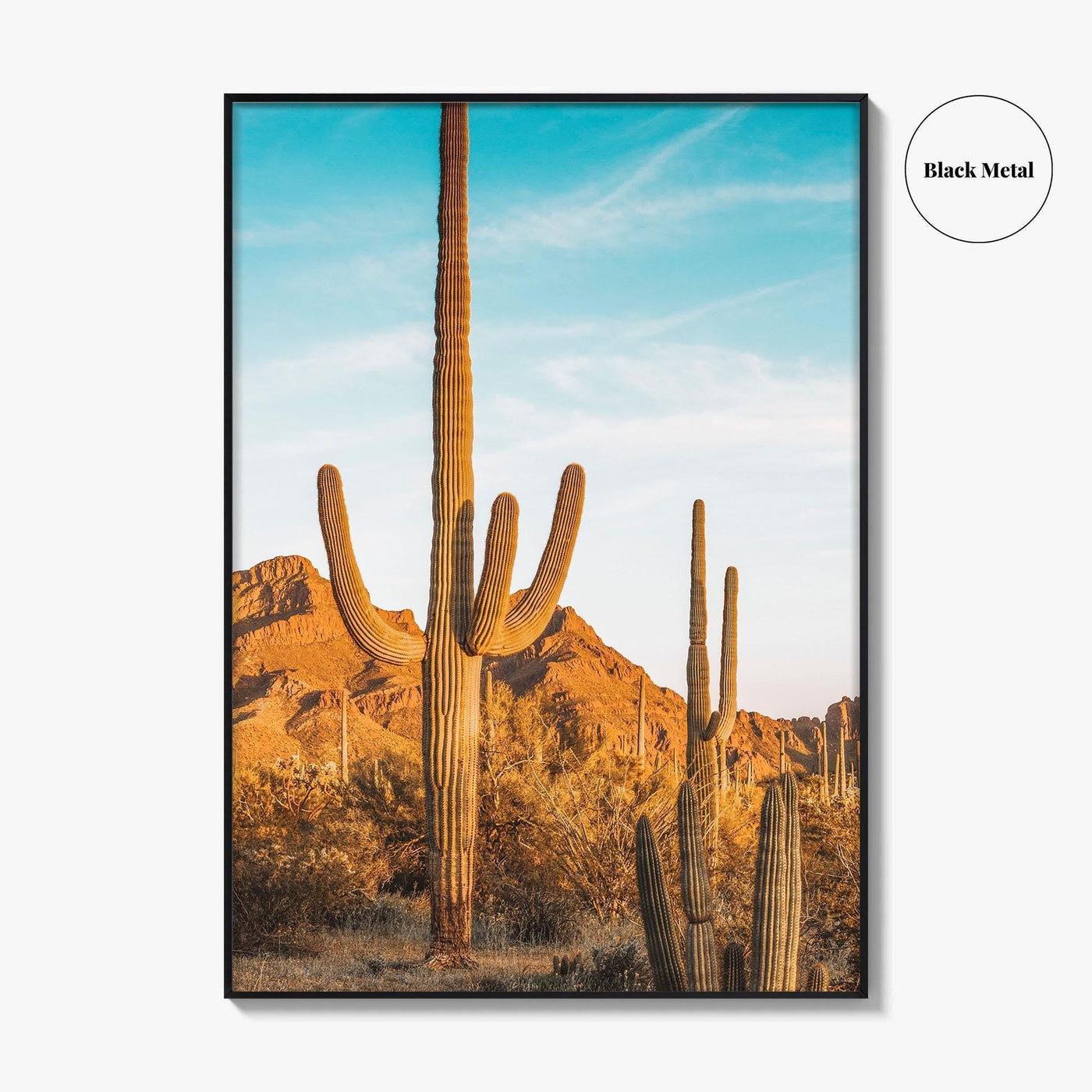 Organ Pipe Cactus National Monument Fine Art Photo Print, Sonoran Desert, Arizona Wall Poster
