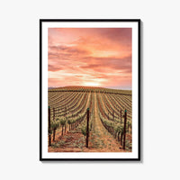 Napa Valley Fine Art Photo Print, Napa California Wine Country, Vineyards Mountains Poster