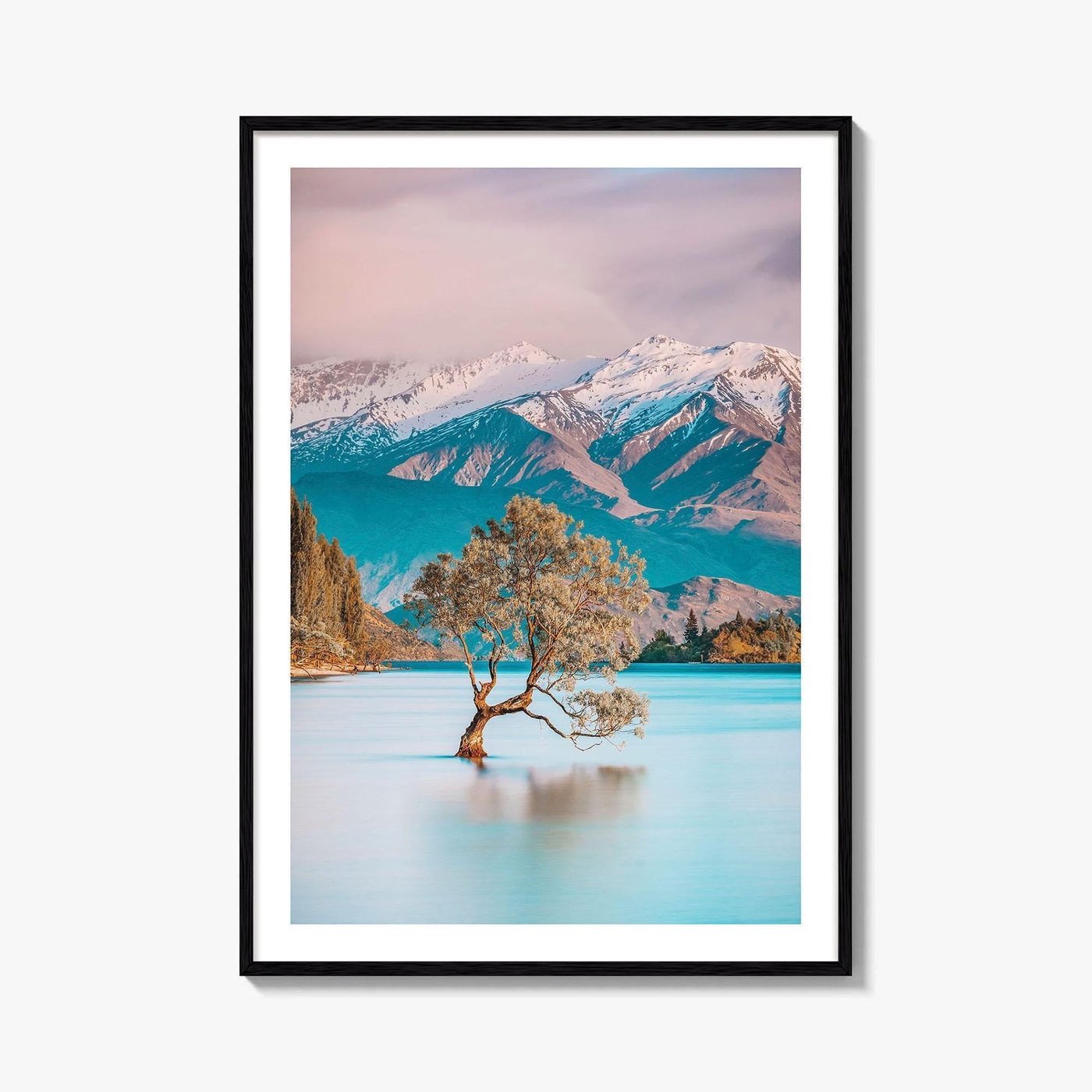 New Zealand Fine Art Photo Print, That Wanaka Tree, South Island Wall Poster