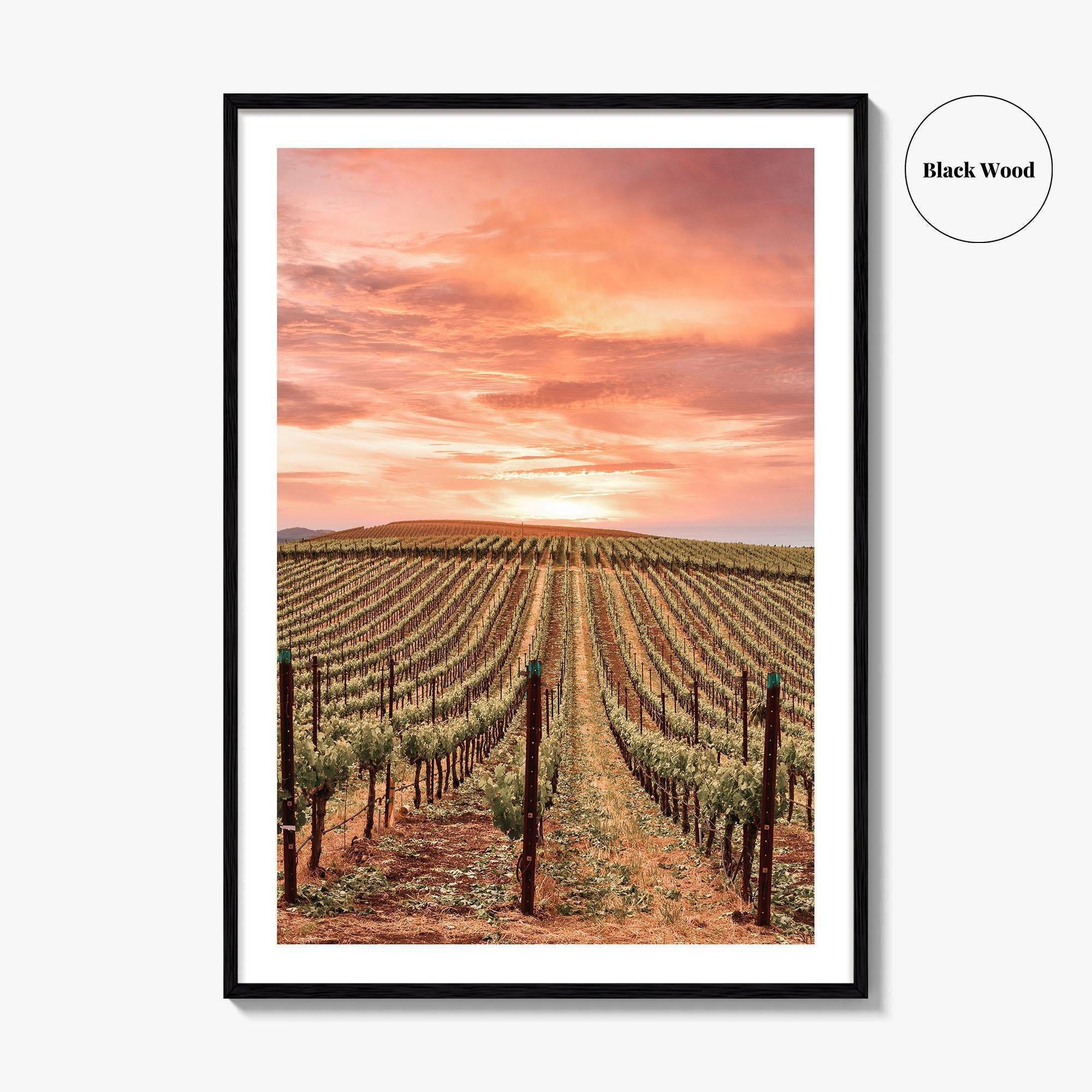 Napa Valley Fine Art Photo Print, Napa California Wine Country, Vineyards Mountains Poster
