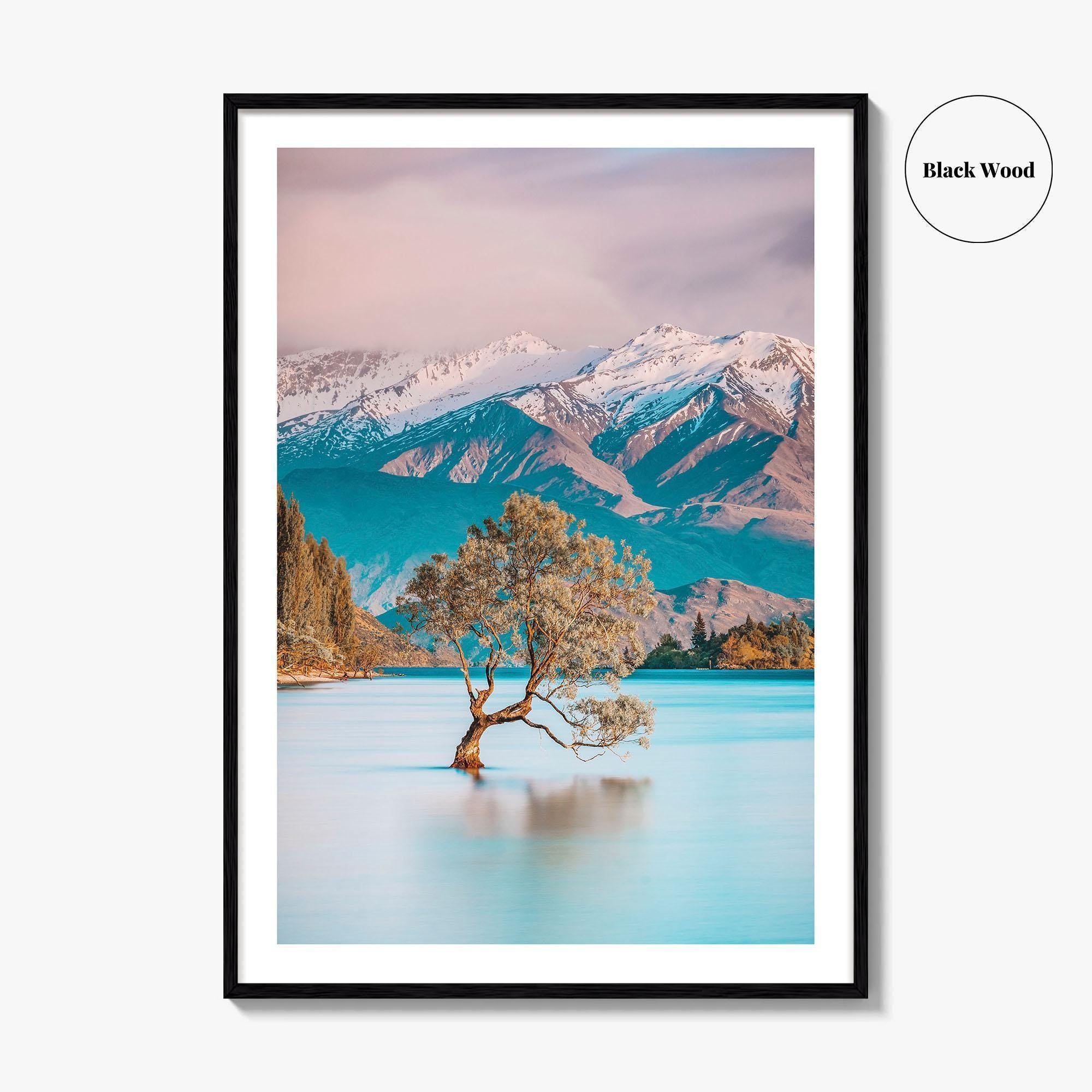 New Zealand Fine Art Photo Print, That Wanaka Tree, South Island Wall Poster