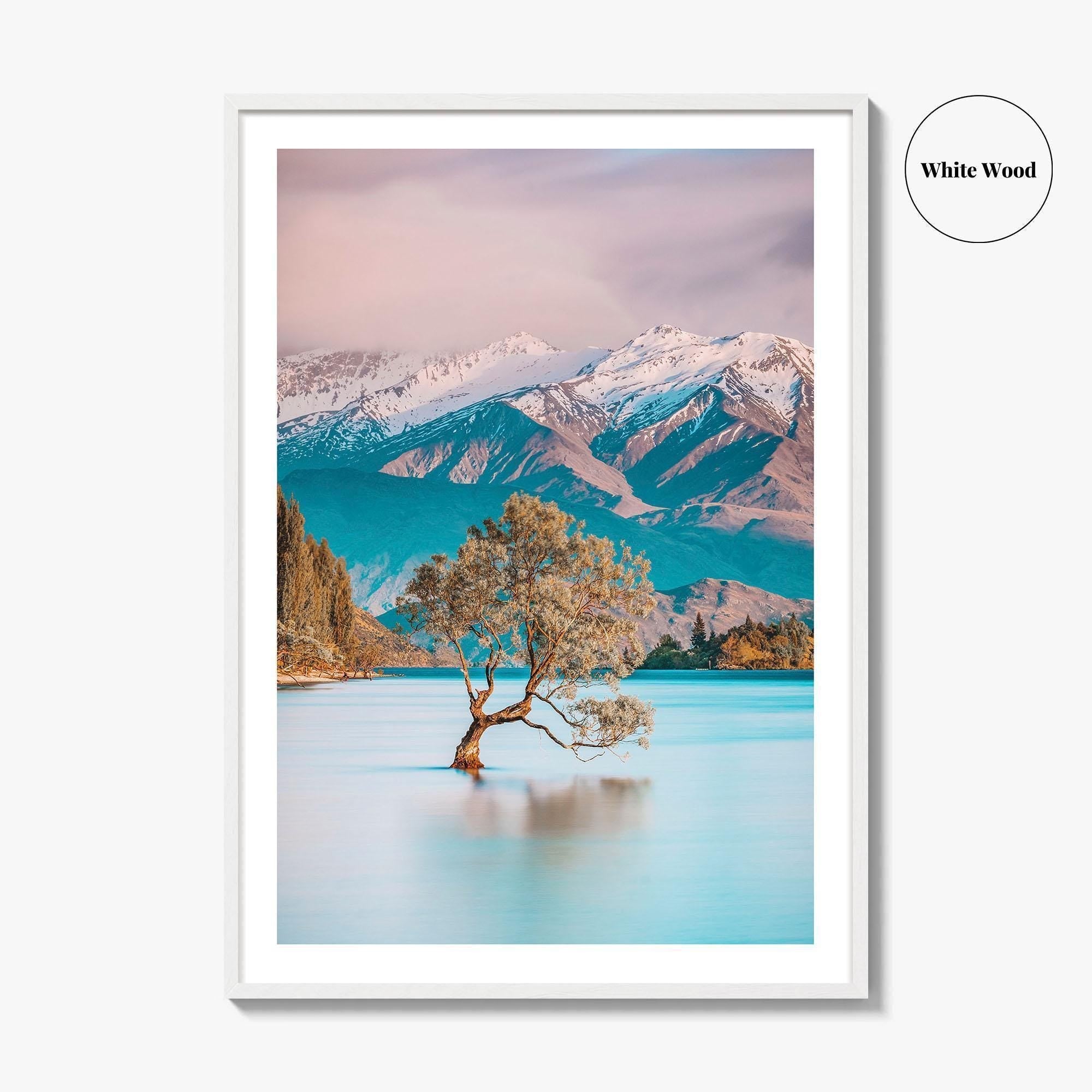New Zealand Fine Art Photo Print, That Wanaka Tree, South Island Wall Poster