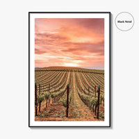 Napa Valley Fine Art Photo Print, Napa California Wine Country, Vineyards Mountains Poster